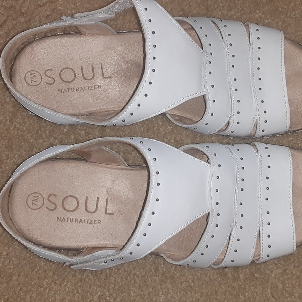 Soul Naturalizer